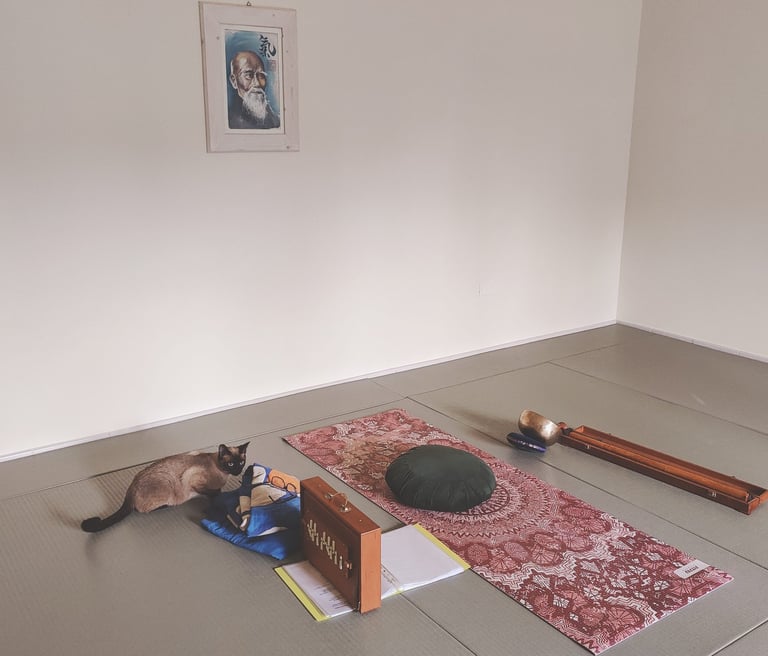 Sala per la pratica Aikido e Yoga