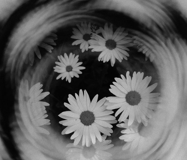 Decorative image by Lisa from Pexels