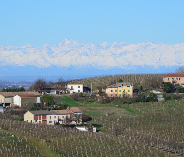 View from Fontanile (AT) towards the Italian Alps