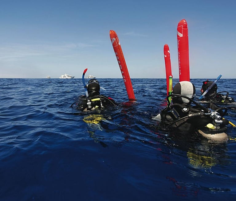Imagen curso padi divemaster