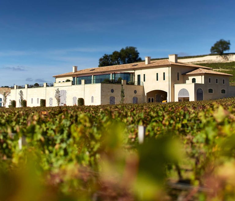 chateau pavie saint emilion