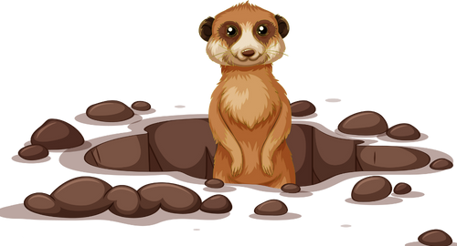 Spiritual Practice of Grounding