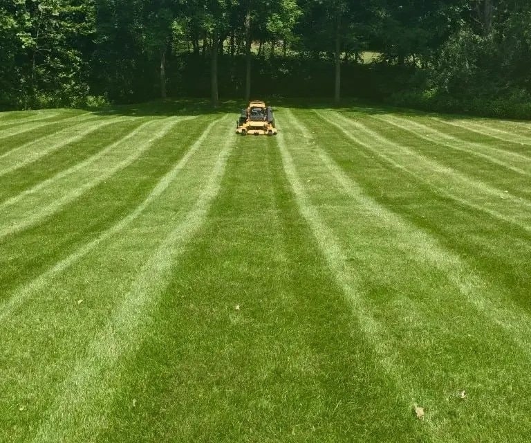 Freshly-cut lawn on a sunny day with my mower in the background.