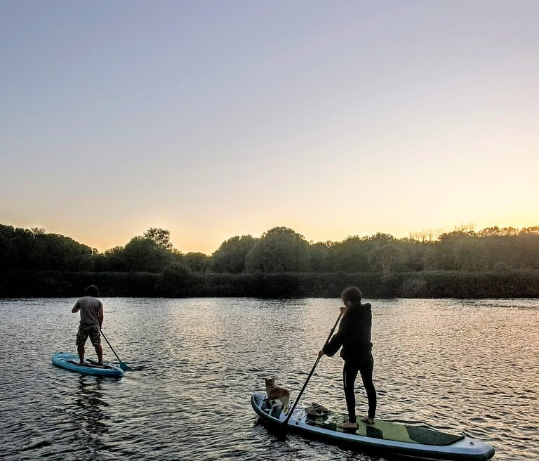Dos personas remando sobre paddle surf al atardecer rio ulla