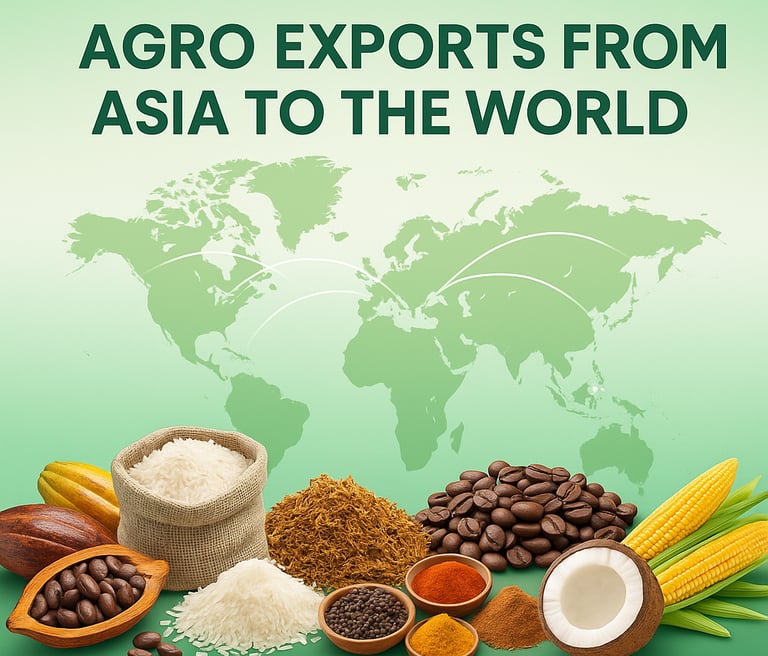 High Business International sourcing cocoa and rice from Southeast Asia