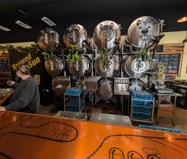 Row of Mueller Tanks at Mad Mole Brewing