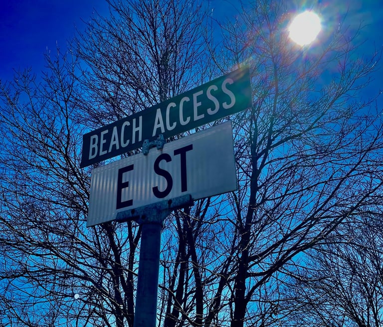 E Street Beach Access Street Sign with a tree and the sun in the background