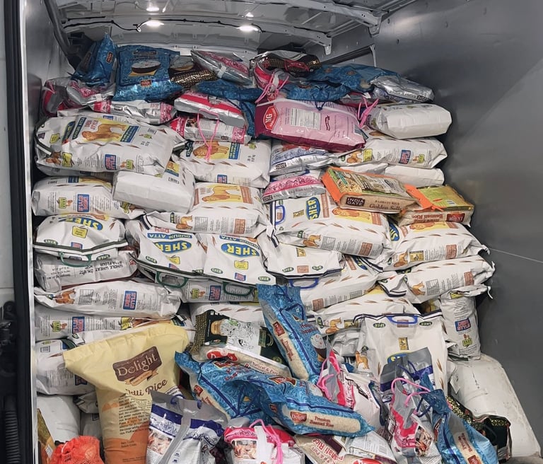 Food Collection from the Food drive