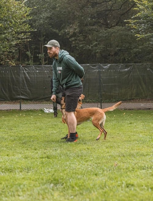 Hundetrainer Rene Pahlke beim Training mit einem Hund auf einer Wiese, konzentriert bei der Arbeit