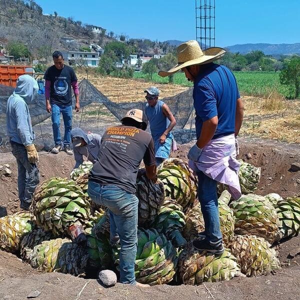 proceso artesanal familiar de la elaboracion de mezcal artesanal tlaixiuri