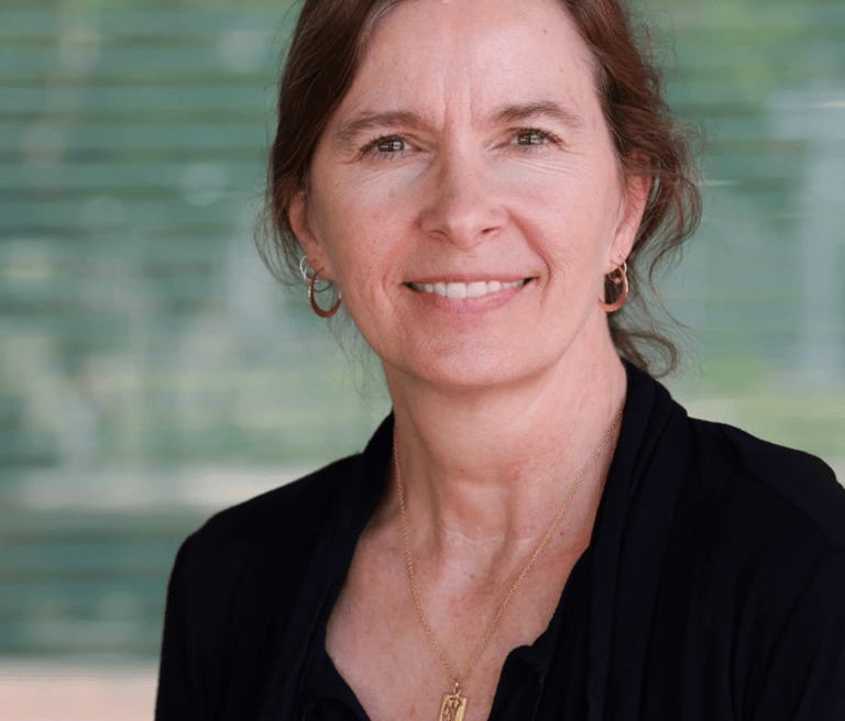 Cheryl Gerken, News Literacy for Arizona advisory board member, Arizona Library Association