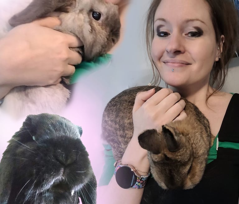 Jen Manning Warwickshire Artist