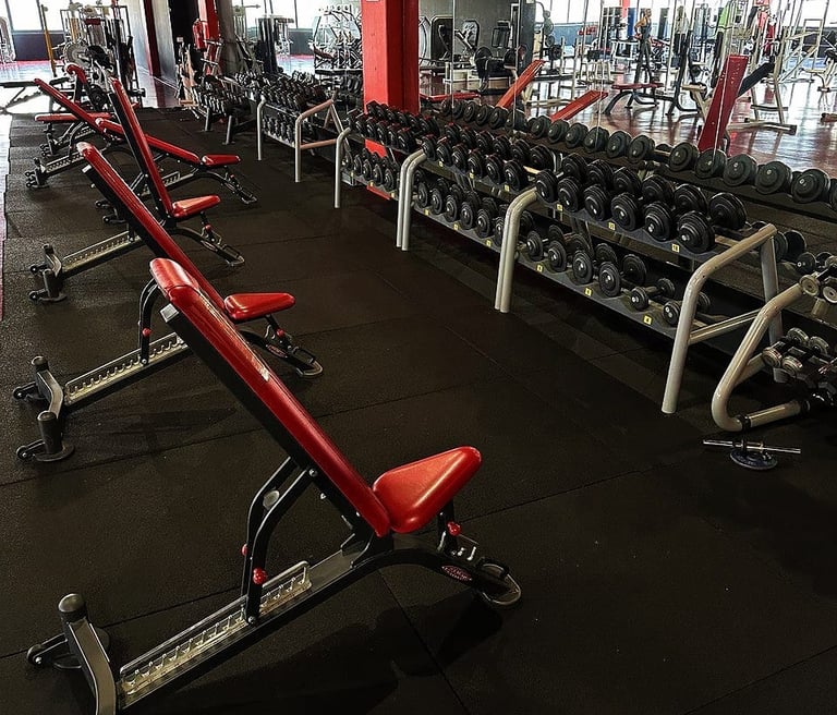 palestra Spartan Gym