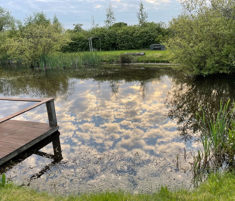 Pond in all its glory with a sky reflection