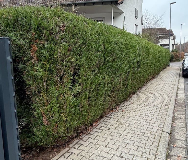 Gartenpflege Oberursel