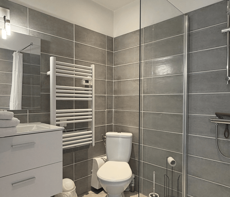 Salle d'eau avec wc