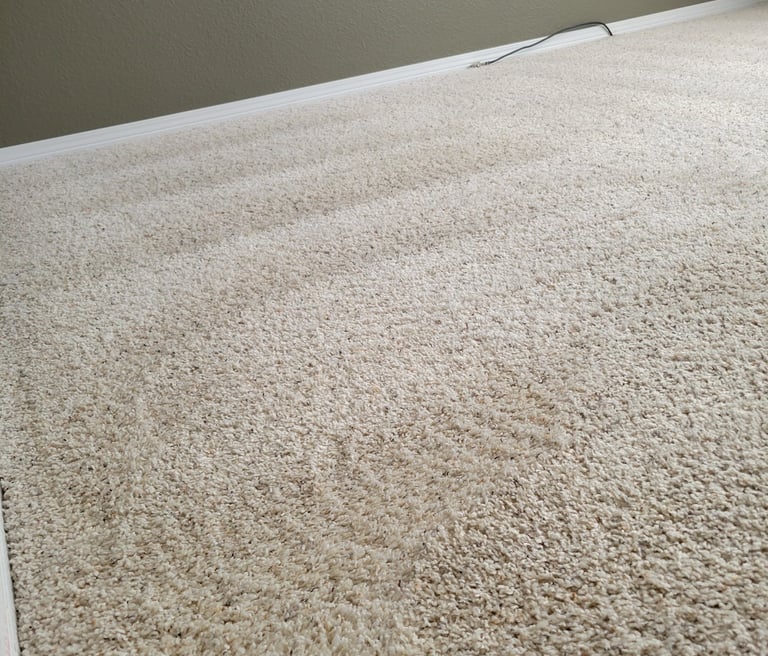 clean spotless white carpet