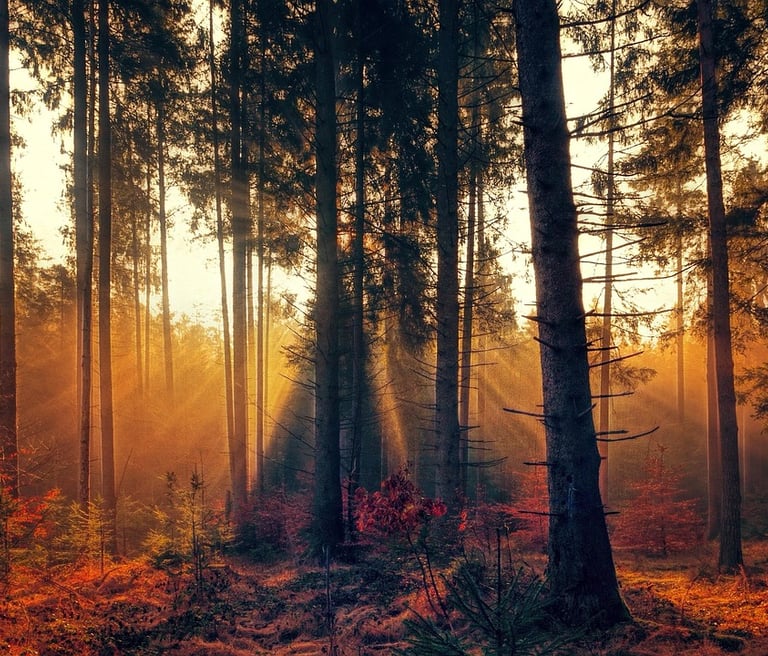 sound therapy