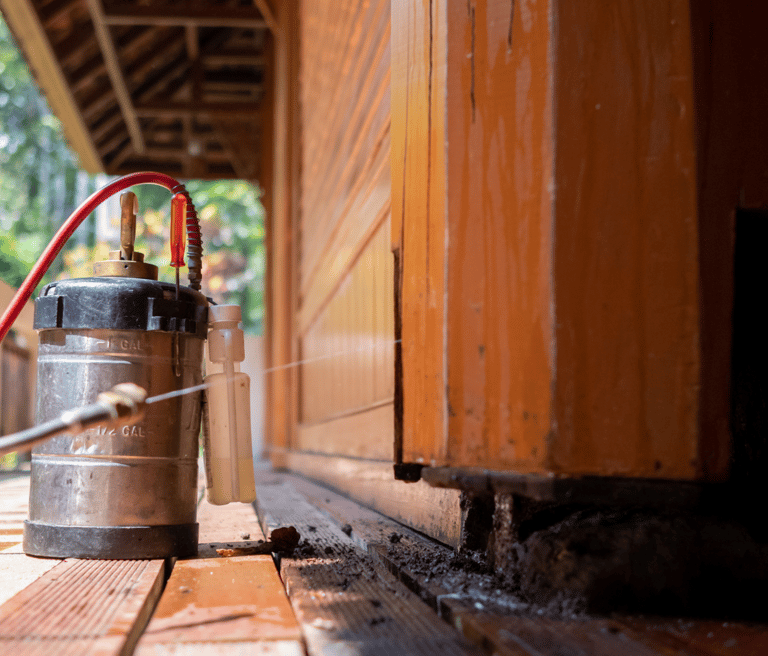 a pesticide canister for residual spray