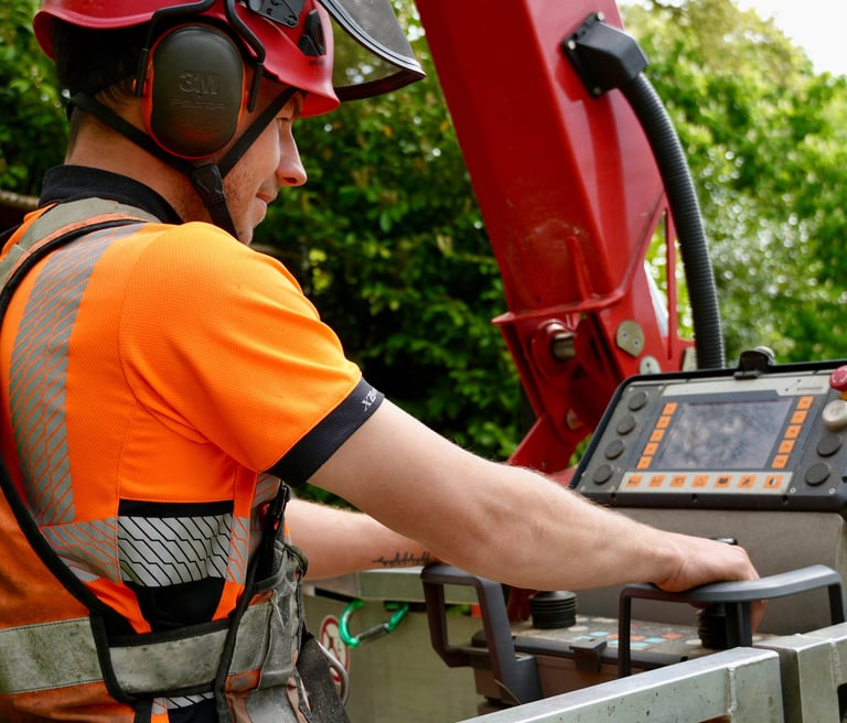 Arborist in cherrypicker 
