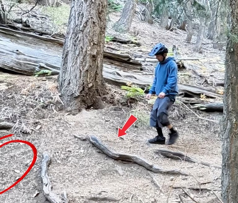 mountian biker looking at roots that can be bump jumped over