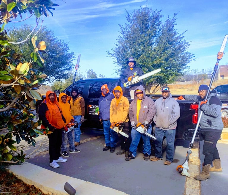3t tree service and more team member