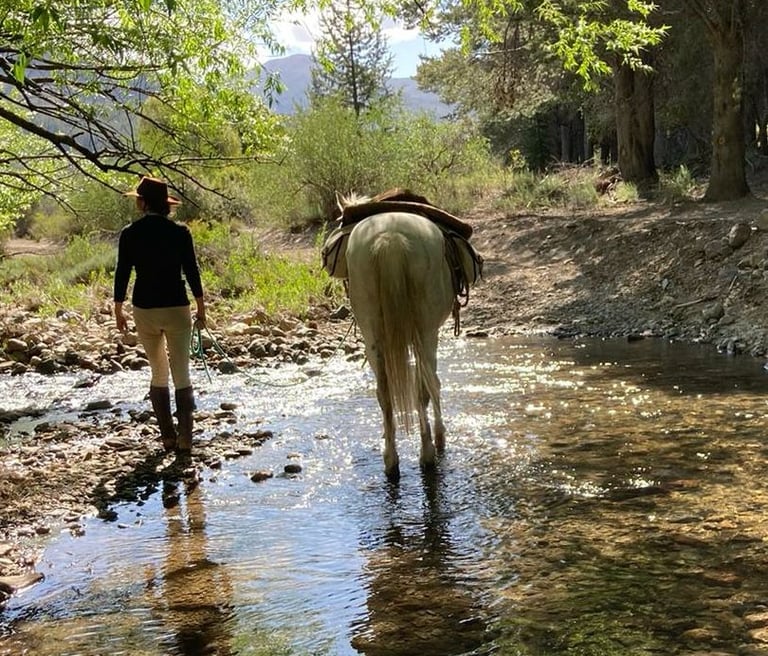 A person on foot walking with a horse through a shallow river.