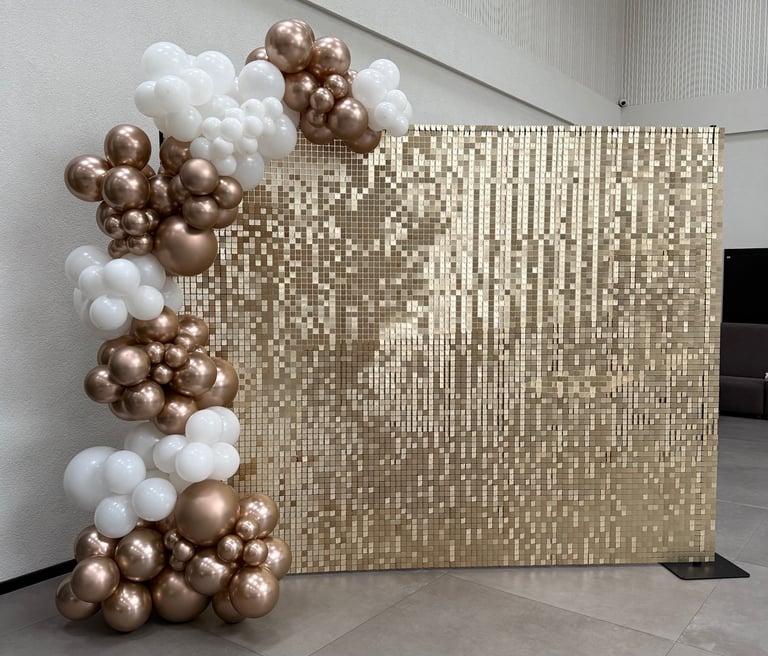 Blisgu, sampanine foto siena, foto sienele vilniuje, blisgu foto sienele, balionu arka