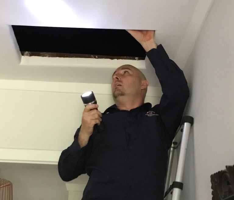 Perth building inspector accessing roof space