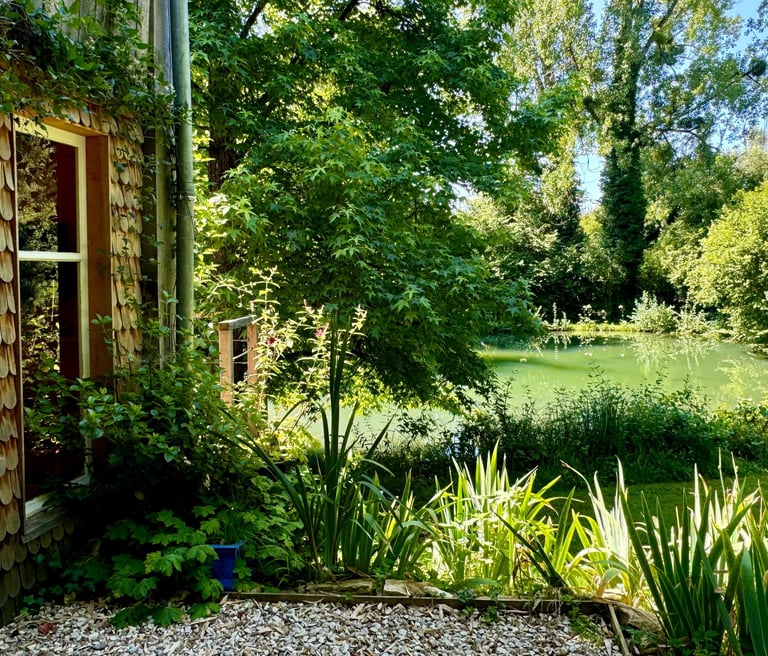 Chalet eau vacances foret nature chevaux nevers nièvre