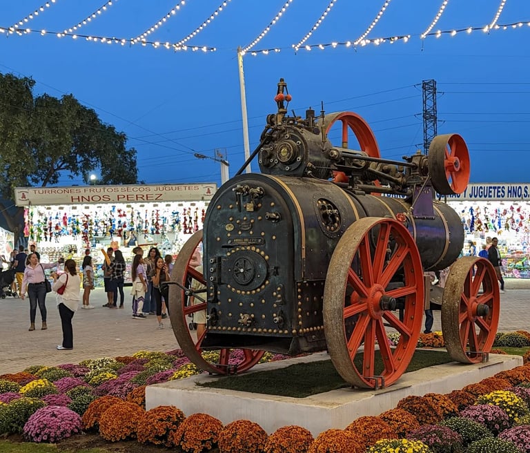 Recinto Ferial de San Pedro Alcántara