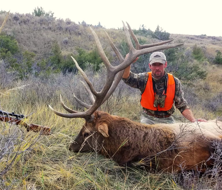 Missouri Breaks Bull