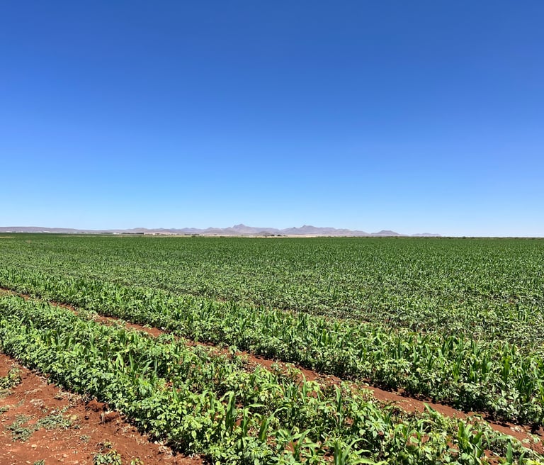 Centro de innovación agropecuaria