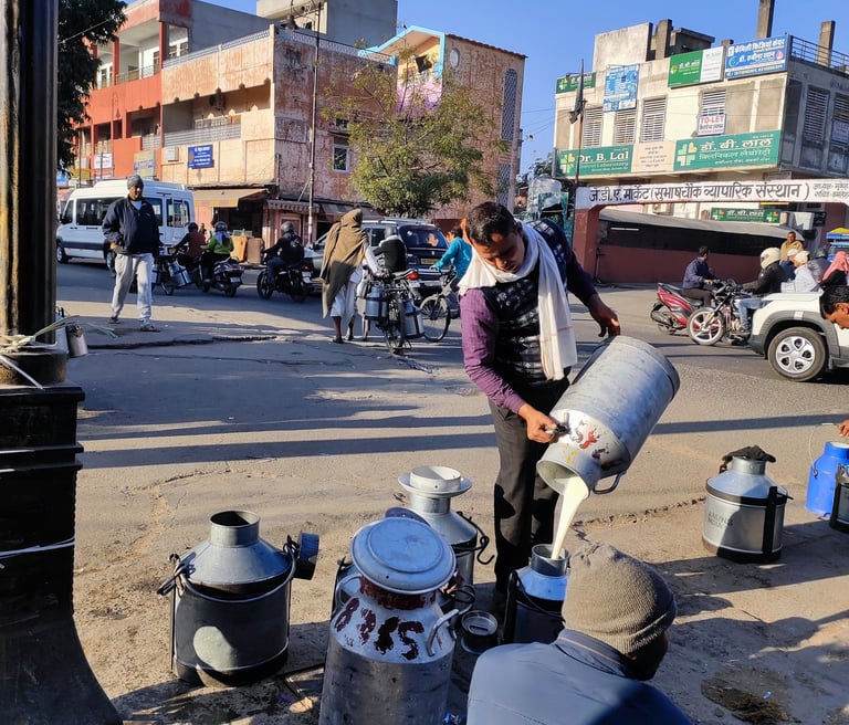best-jaipur-milk-market-tour.jpg