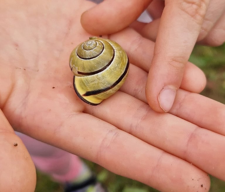 Mus supančios gyvūnijos atradimas