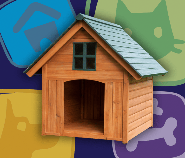 veterinario domicilio maringa