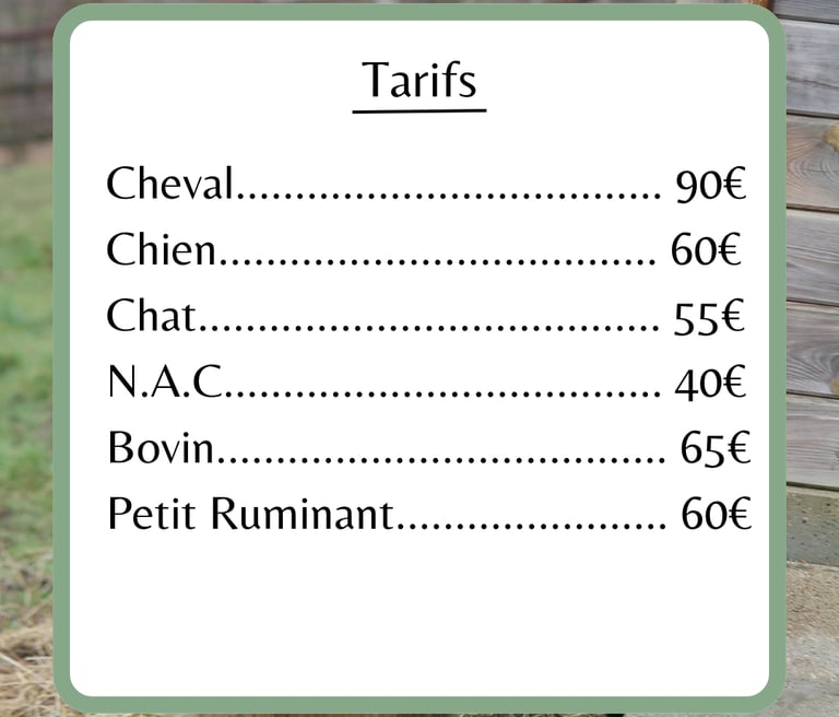 Ostéopathie animale Marjorie Frison tarifs : dégressif