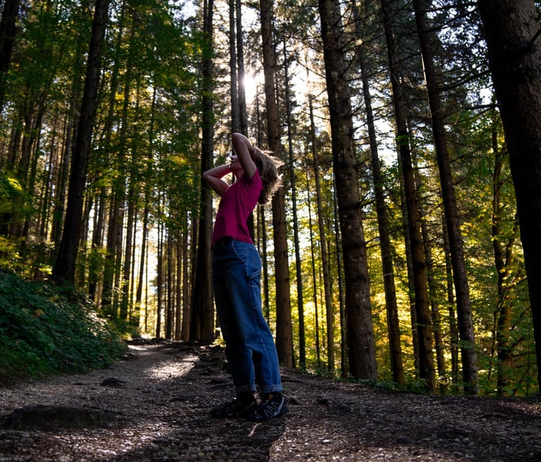 randonné en Roumanie foret