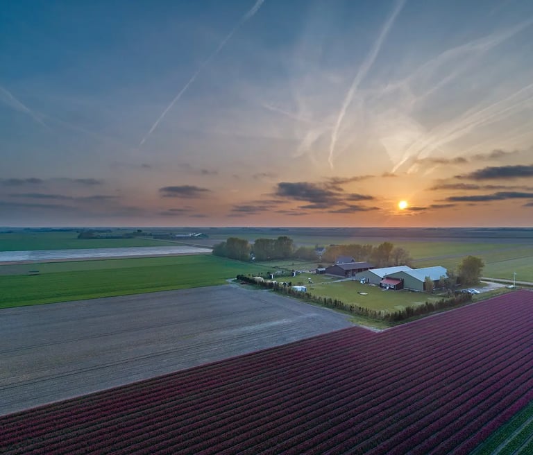 Camping Noorderwaard