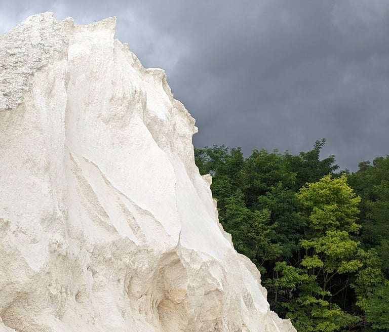 Carbonate de calcium pur l'Oursin Blanc