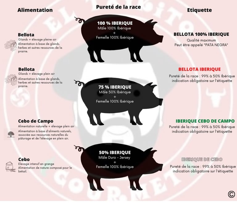 description des races ibériques