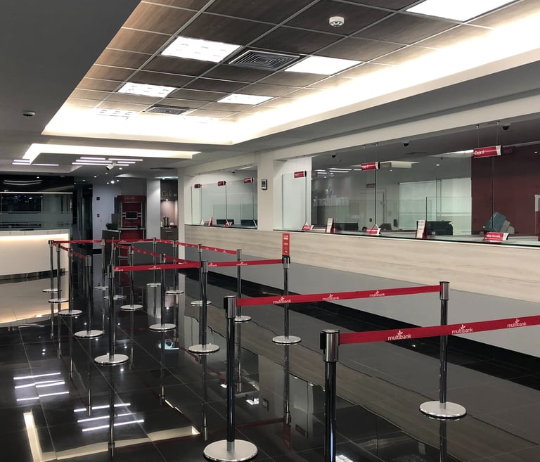 Sosa + Arquitectos: Innovación y Diseño