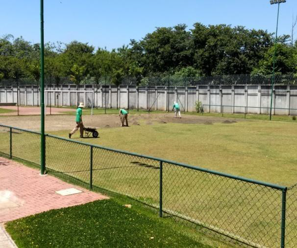 Excelência em Jardinagem