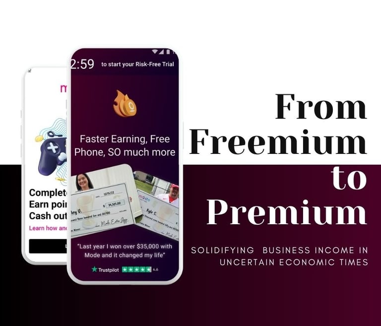 the progression of the free version of Mode and the subscription model which APPearl worked on