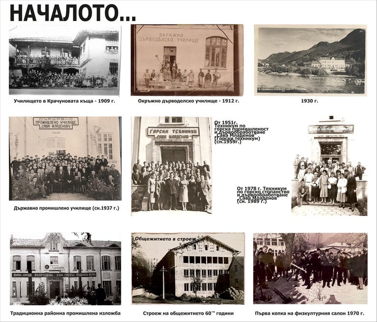 национална професионална гимназия по горско стопанство и дървообработване сава младенов тетевен