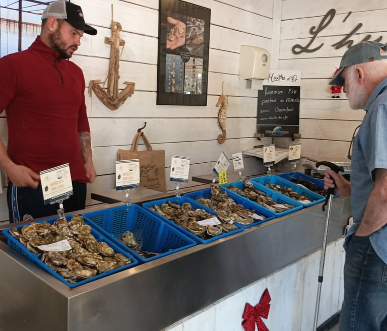 Choosing our Oysters