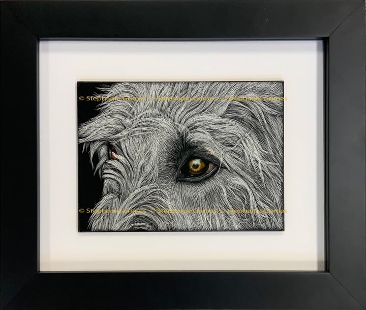 Detailed scratchboard of an Irish Wolfhound eye