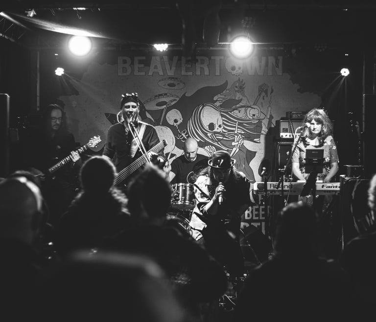 Echoes of Obsidian band playing a concert.