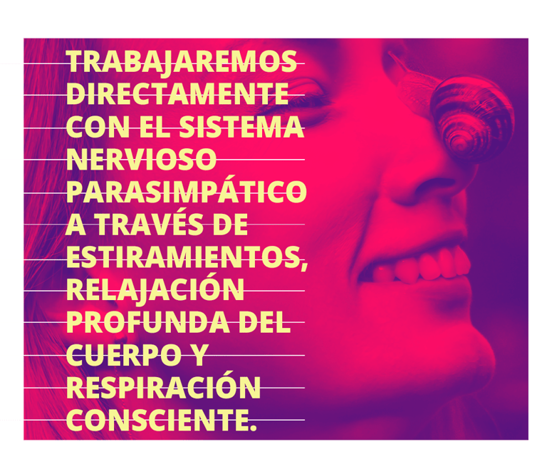 trabajamos directamente con el sistema nervioso parasimpático con estiramientos y la relajación