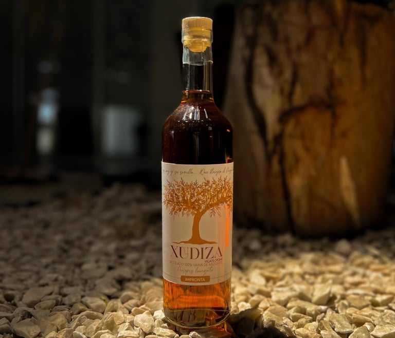 Vigate: Xudiza Impronta